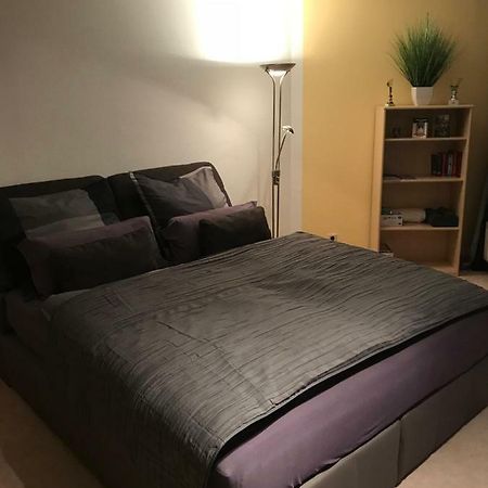 Kleine Wohnung Im Gruenen Dresden Exteriör bild
