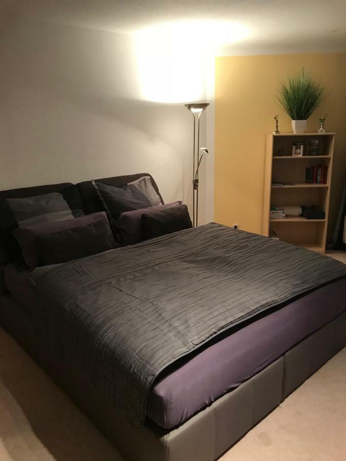 Kleine Wohnung Im Gruenen Dresden Exteriör bild
