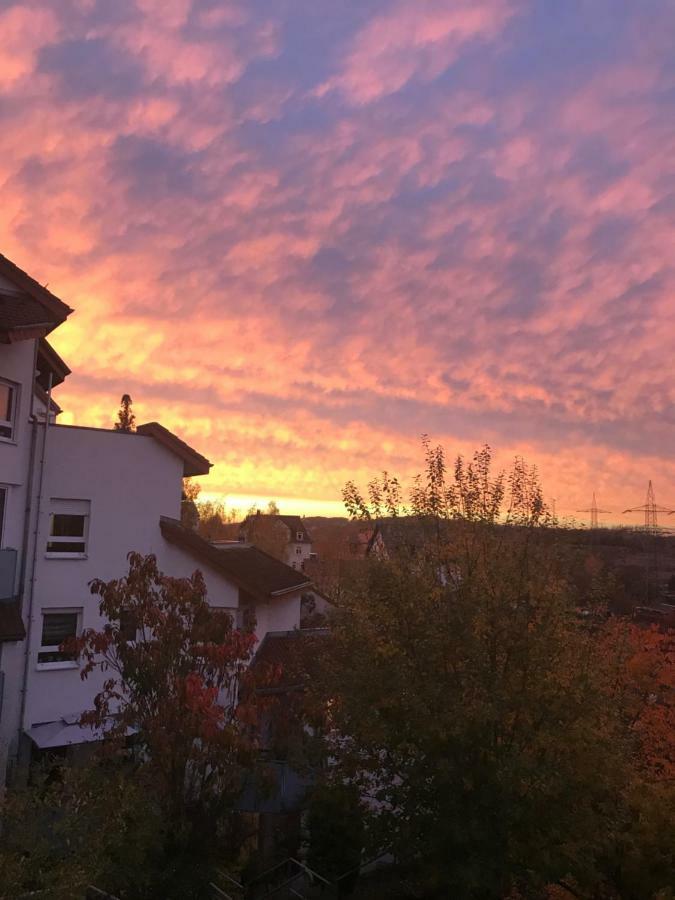 Kleine Wohnung Im Gruenen Dresden Exteriör bild